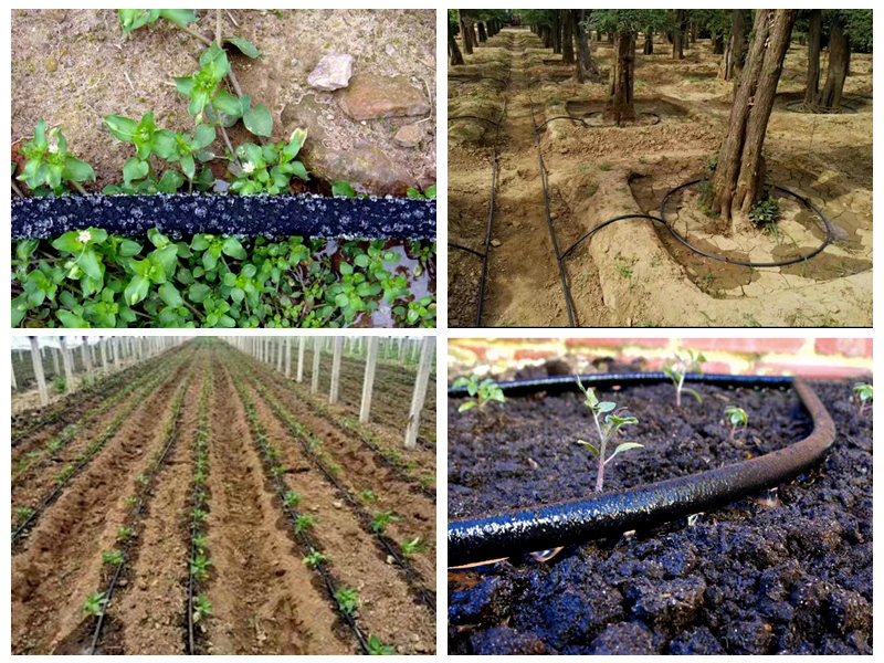 Πώς χρησιμοποιείται ο ελαστικός σωλήνας εμποτισμού για άρδευση;